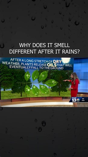 1.8K views · 14 reactions | ☔☔☔ | WVTM 13 | Facebook