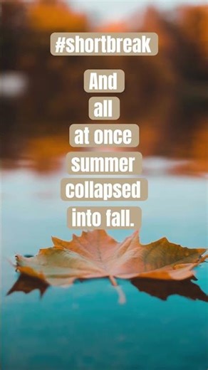 #autumn #fallingleaves on the #water make for a #peaceful #shortbreak