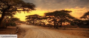 Retour à l'instinct primaire Saison 7