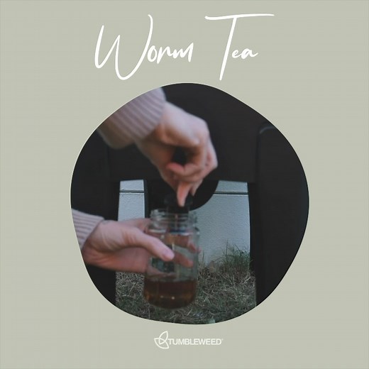 When it comes to worm farming there is nothing better than the liquid that we harvest that provides a rich source of nutrients and beneficial microbes for our garden soil. Learn more about how to use your worm liquid and castings ⬇ ⬇ ⬇ https://tumbleweed.com.au/blogs/tumbleweed-community/how-to-use-your-worm-liquid-and-castings?_pos=4&_sid=90921f26e&_ss=r #Tumbleweed #harvest #worms #wormcasting #wormliquid | Tumbleweed | Facebook