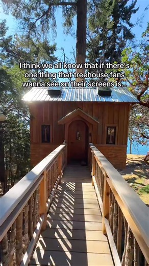 We know what you want to see more of…@treehousepete and the final of this treehouse 👀 #treehouse #treehousemasters #treefort #carpenter #construction #diy | Nelson Treehouse and Supply