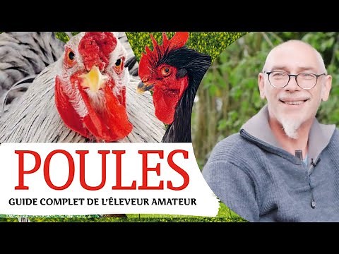 COMMENT ELEVER DES POULES ET PRENDRE SOIN DU POULAILLER