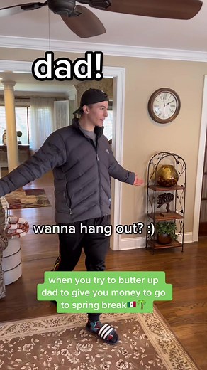 Exploring the Meaning of Cats in the Cradle Song