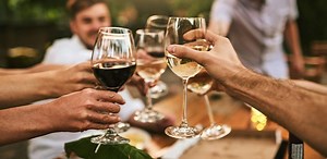 The Ultimate Wine Glass Guide