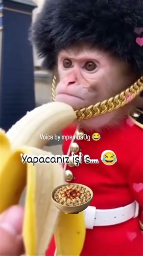 Kamanda kashindwa kuv7milia 🤣🤣🤣🤣🤣🤣🤣🤣🤣🤣 #yombomsukuma #funny #comedyfilms