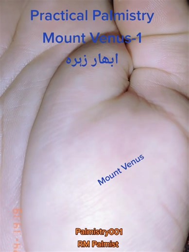 Understanding Mount Venus in Palmistry