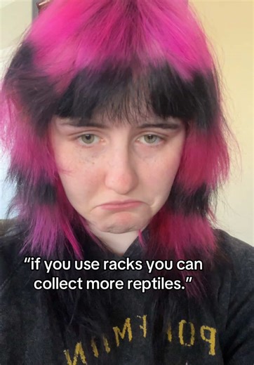 prioritizing proper care over “having a collection” >>> #reptile #reptilekeeper #exoticpets #fyp #foryoupage