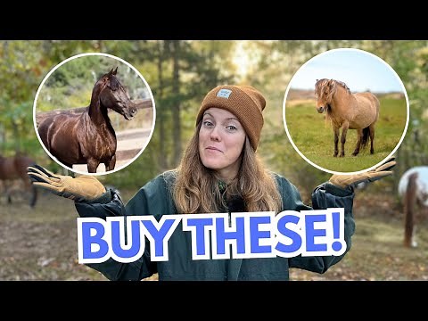 The 5 Best Horse Breeds for Trail Riding!
