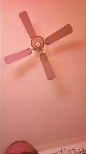 Exploring the History of 420