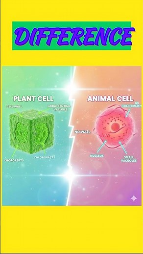 🧪 Plant Cell vs Animal Cell | Key Differences Made Easy🔬 Plant vs Animal Cell | Easy Biology