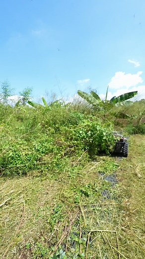 363K views · 2.2K reactions | Koham on Reels | Facebook