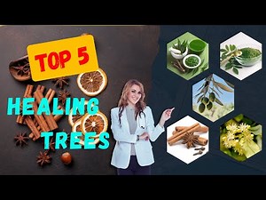 Top 5 Healing Trees You Need to Know for Natural Wellness