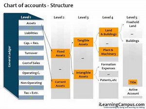 SAP Financial Accounting (FI) Chart of Accounts