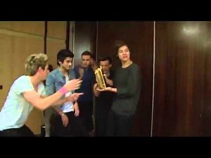 NRJ Music Award 2013 for Best Fan meets One Direction
