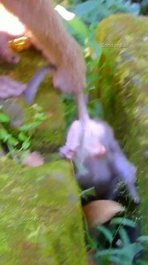 8.5K views · 325 reactions | Oops! full crying! what's happening on Rainbow like that! baby crying so long time! | Good Or Bad | Facebook