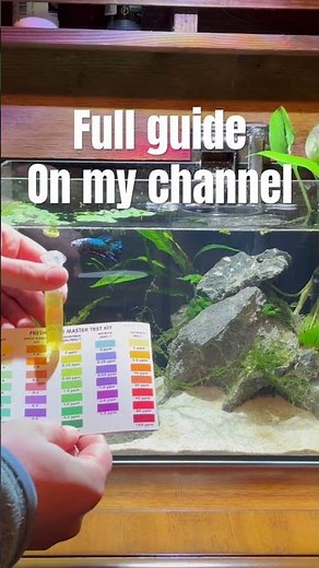 Best water testing method for beginners?