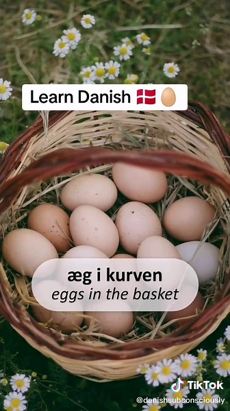 Learn Danish 🇩🇰🥚 | Beginner's Guide to Danish Language