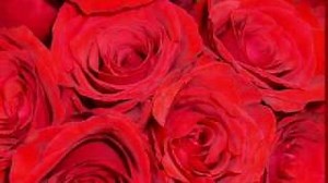 PAPER ROSIE Lyrics - GENE WATSON | eLyrics.net