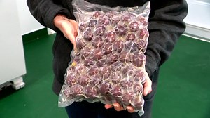 Avec le retour de la saison des petits fruits, une ferme de l'Île d'Orléans a développé une méthode ingénieuse pour éviter le gaspillage. | TVA Québec