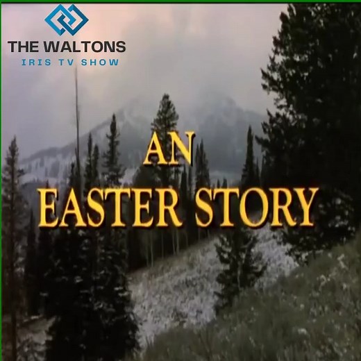 The Waltons - Season 1 Episode 24 - The Deputies - John-Boy and his siblings become temporary deputies and must deal with a dangerous situation. | The Waltons