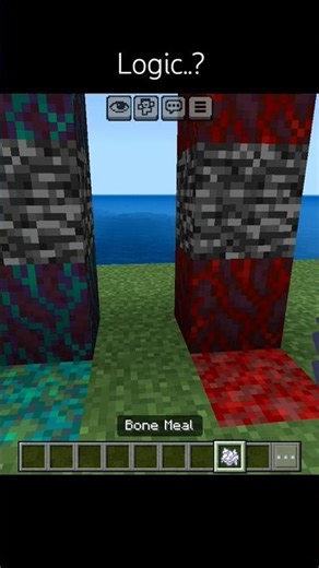 minecraft logic speedrun goes wrong #minecraft #logic #viral