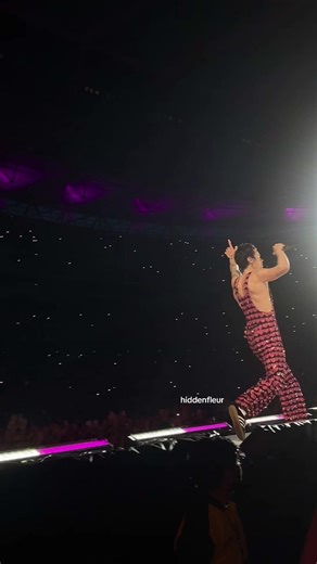 A Romantic Journey with Harry Styles: Love on Tour