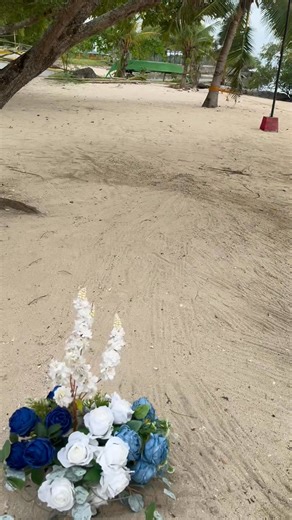 Shabby Chic Style Studio on Reels