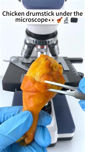 Putting the chicken leg under a microscope and magnifying it 400 times is really cool!#microscope | Home Making II