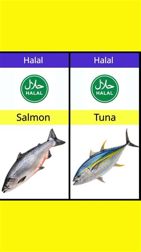 Halal and Haram Fish: Understanding Islamic Dietary Laws