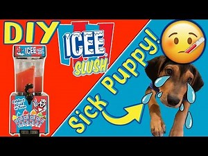 How To Make An Icee At Home! DIY Icee (Slushee) Machine + Meet Our New (Sick) Puppy! Young Wild Me!