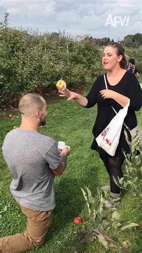 America's Funniest Home Videos on Instagram: "Let's give them a round of apple-ause  #afv #proposal #funnyvideos"