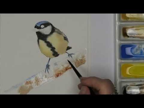 Painting a Great Tit in Watercolour