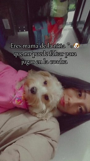 Diversión de Mascotas: Perros y Niños Jugando Juntos