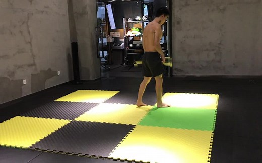 人类动作的复杂性/2