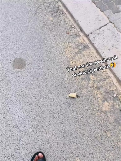 The Friend Who Asks Obvious Questions 😂