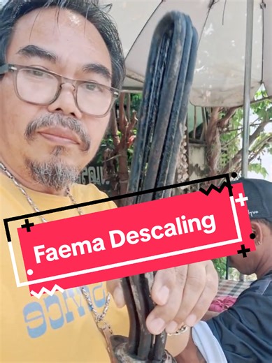 Faema Coffee Machine Descaling and Repair in Pattaya