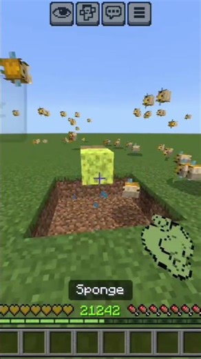 PUFFER FISH JIHNKA CIHKA