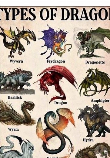 Exploring Different Types of Dragons: Episode 124