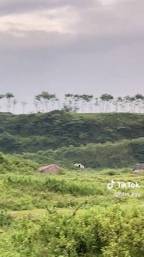 Cinematic #djiflip #djiindonesia #dronetiktok