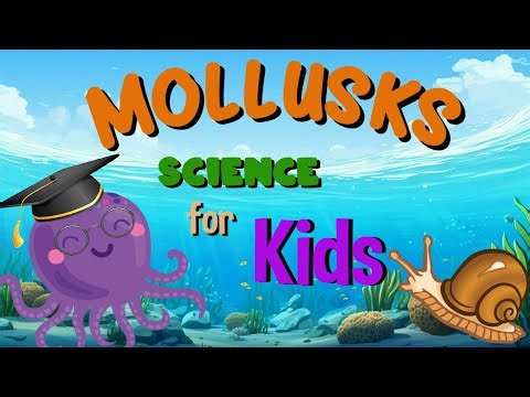 Mollusks | Science for Kids