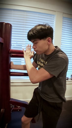 1.2K views · 24 reactions | How to use Wing Chun in your next fight...