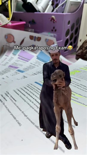 #MemeCut #Meme #MemeCut