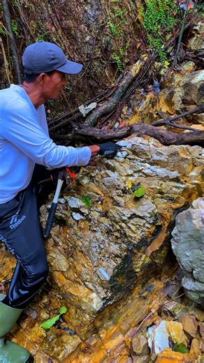 2.1K views · 32 reactions | jade hunting in the interior of the Sumatran forest #fblifestyle | Gemstone Explorers | Facebook