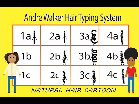 What is Hair Typing? | All About Hair Typing with Andre Walker's Hair Typing System