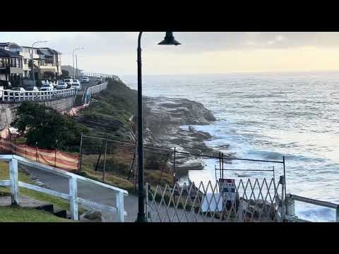 13.01.2026 Sydney Surf Report Bronte Beach Australia