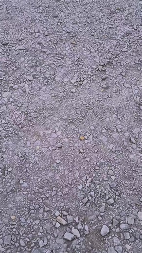 steven (@stebo.steven)’s videos with original sound - EXCLUSIVE SOUNDS🎶•