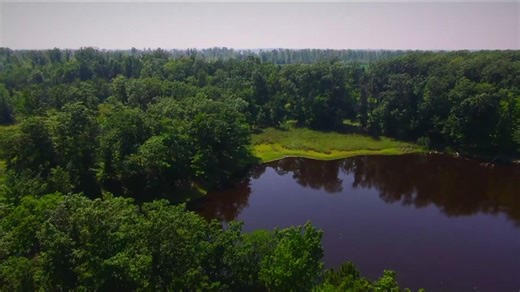 'It’s a pretty rare thing': Woman in critical condition after black bear attack in western Wisconsin