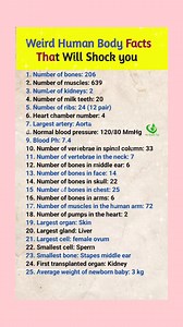 1.9M views · 10K reactions | . . . Weird Human Body Facts That Will Shock you #trendingpost #viralpost2025シ #reelsviralシ #reelsfbシ #Trump #facts #canada #DidYouKnow #goviral #australia #usareels #tiktok | My Health Tips | Facebook