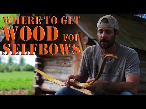 Where to get bow staves and wood for bow building self bows and primitive bows.