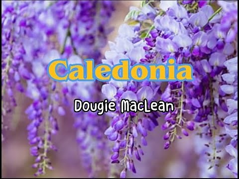 Caledonia (lyrics) Dougie MacLean